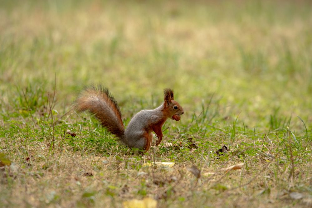 Photograph by Бравичева Анастасия