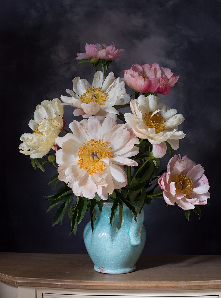 Photograph by Алина Ланкина