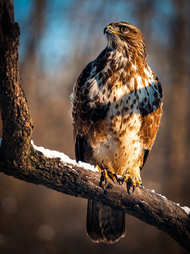 Photograph by Gergely Janovszky