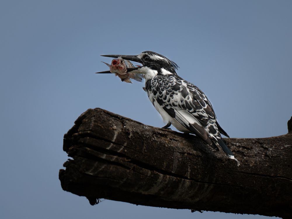 Photograph by Slutskiy Nikolay