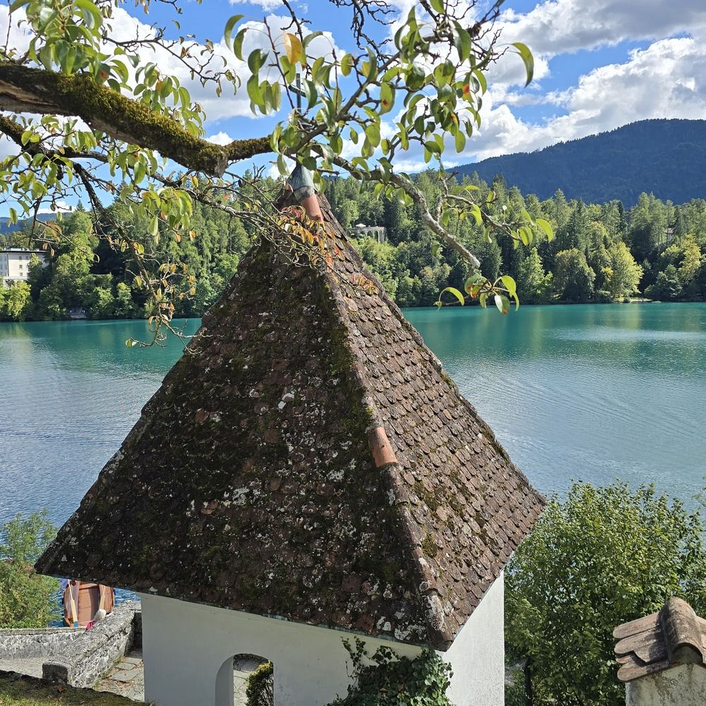 Фотография автора Yulia Rotbach