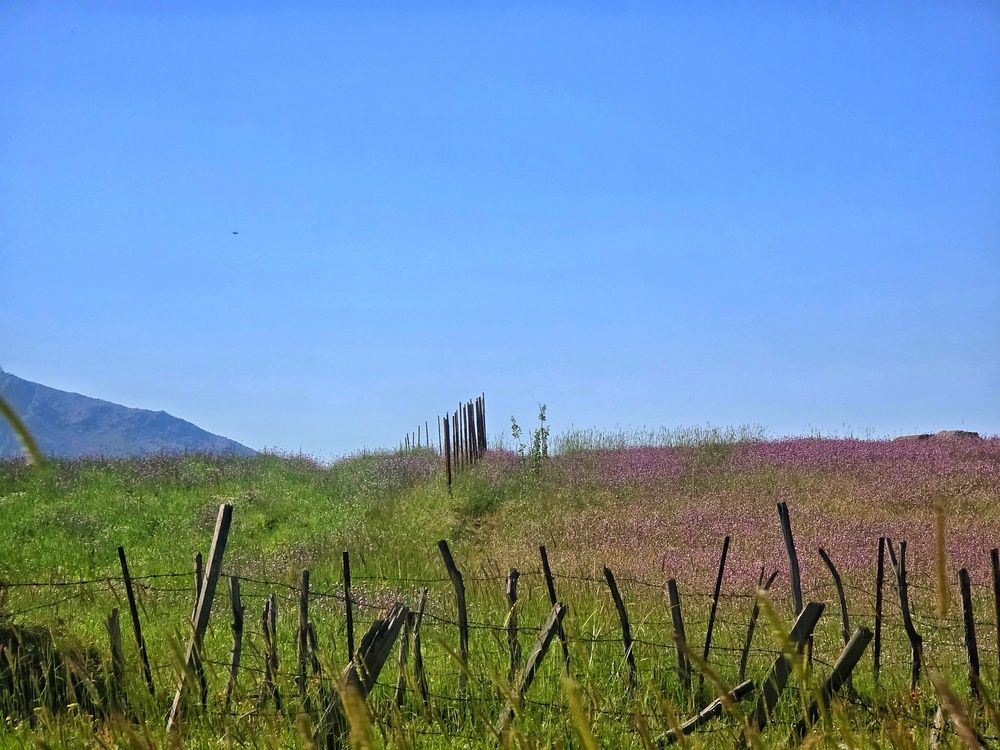 Photograph by Masoumeh Rahimi