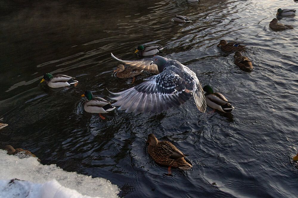 Photograph by Карпович Максим