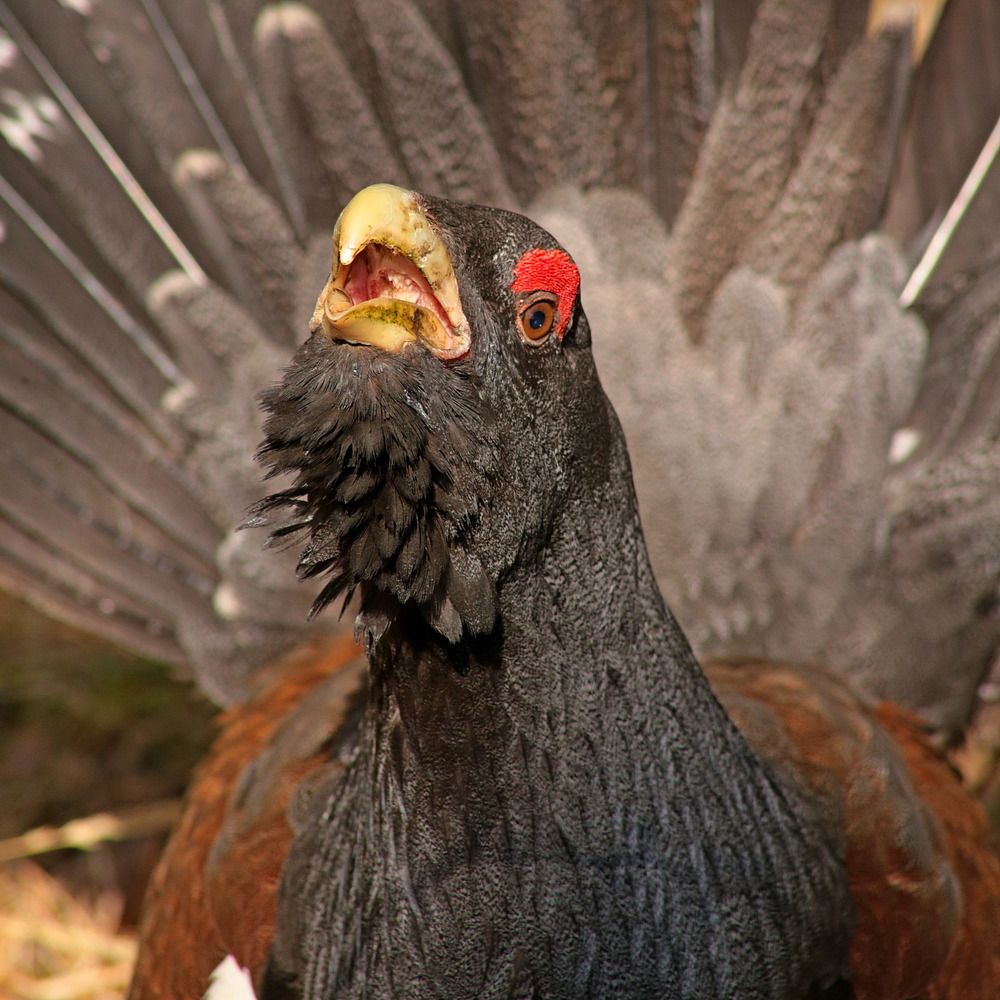 Photograph by Александр Кожевников