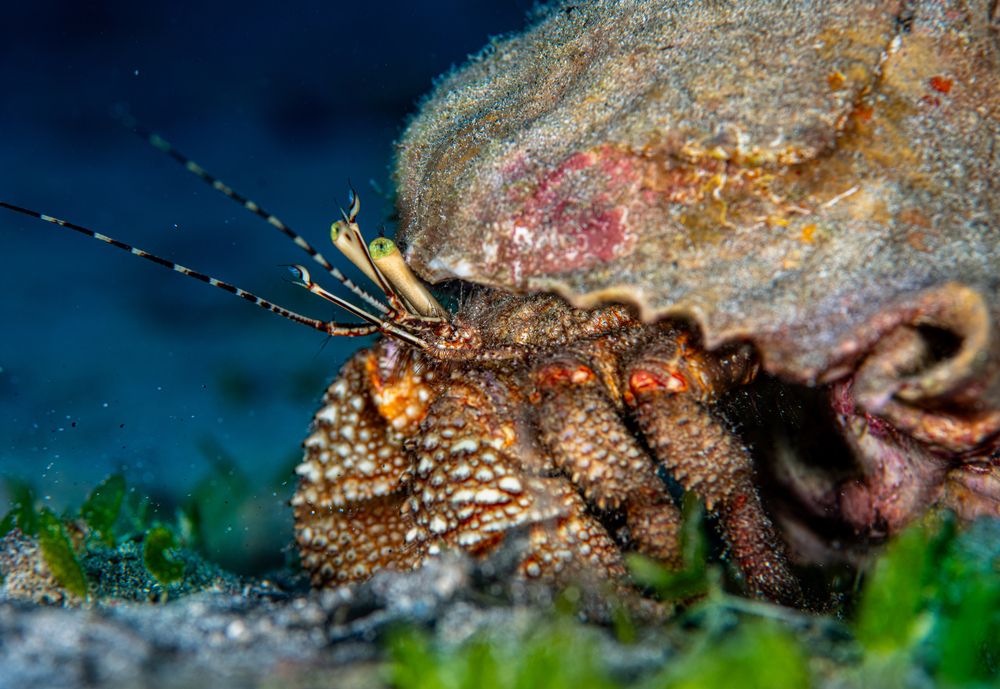 Photograph by Magali Márquez