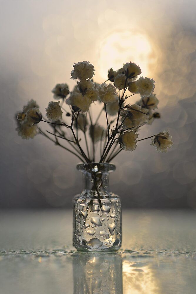 Photograph by Наталья Комиссарова
