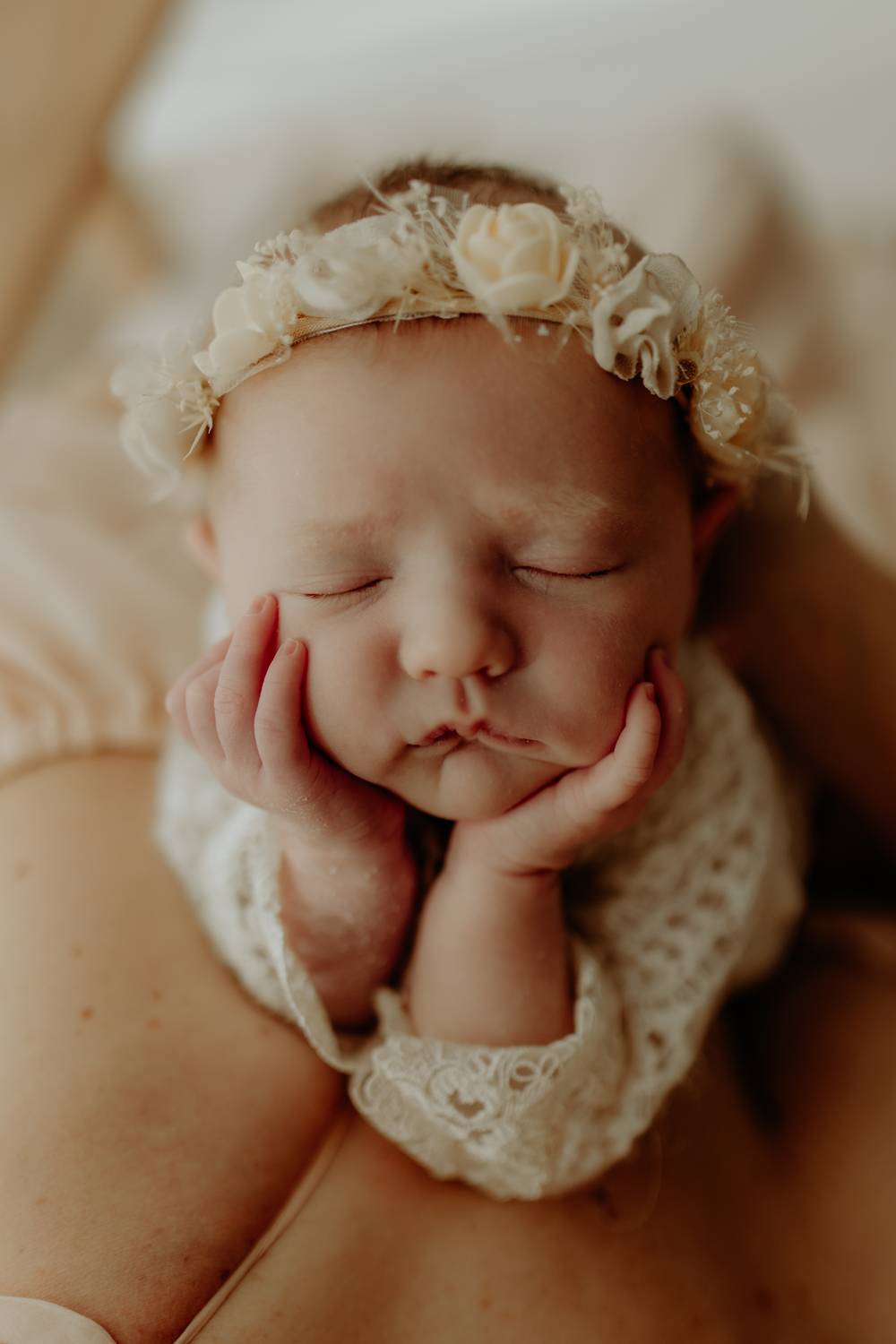 Фотография #13186028