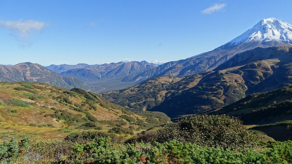 Фотография автора Александр Ахоньков