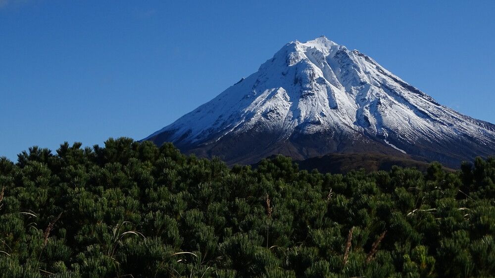 Фотография автора Александр Ахоньков