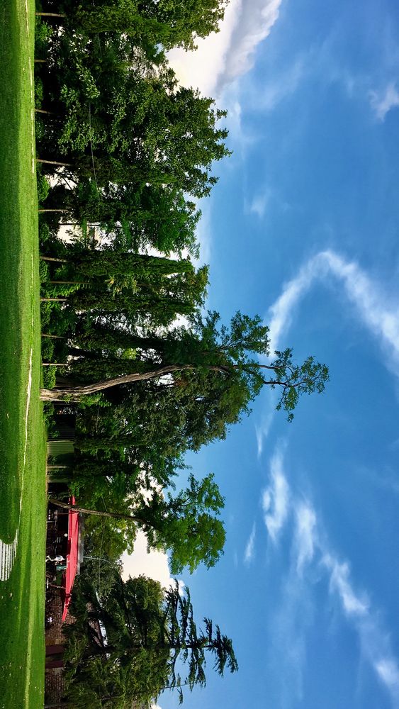 Photograph by Sara Ali