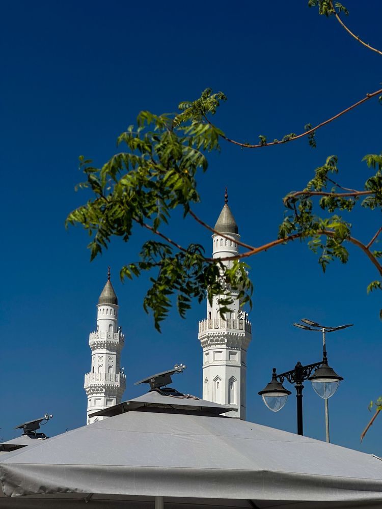 Photograph by Sara Ali