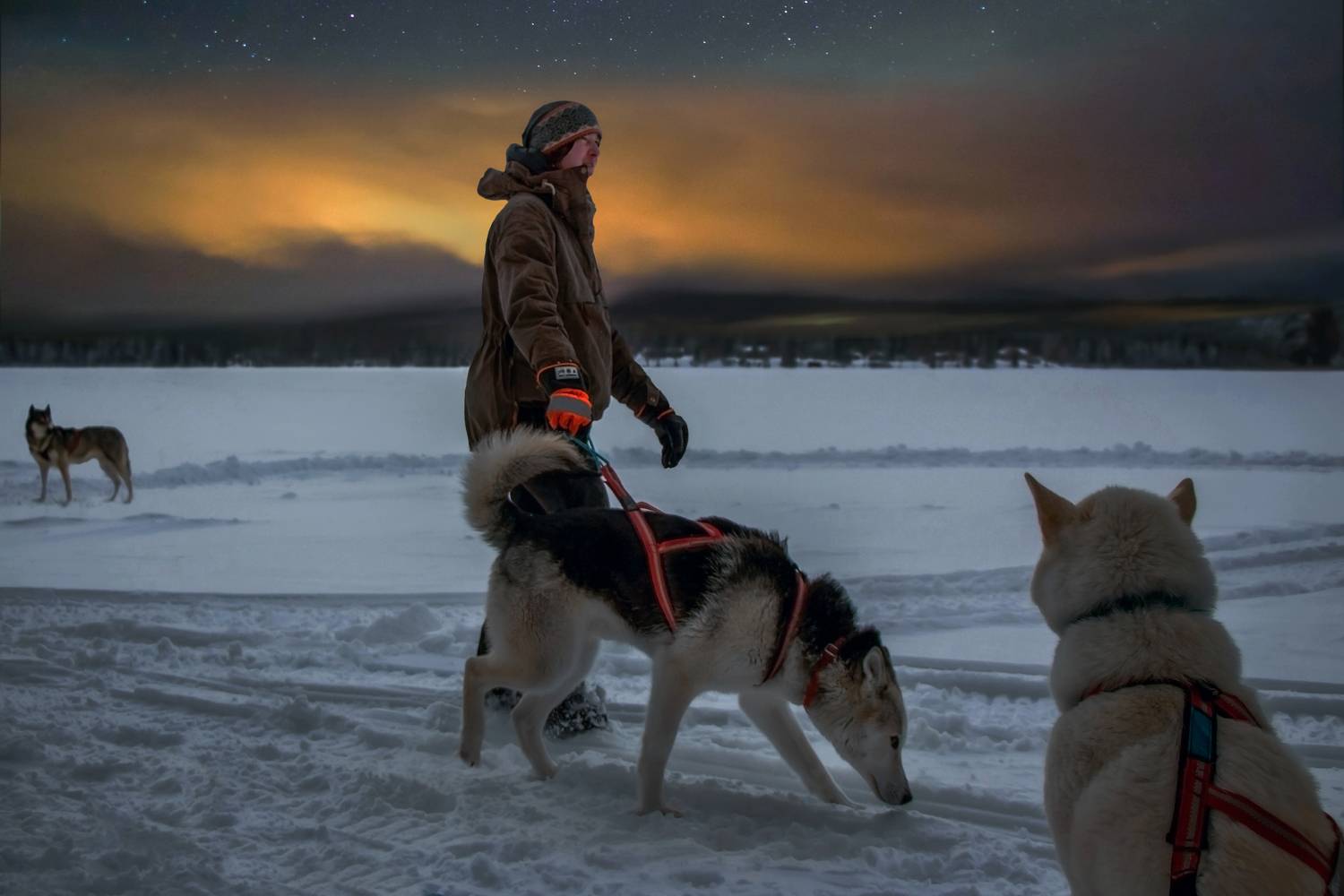 Photo #13186071