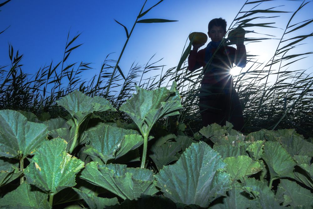 Photograph by Mahdi vagahri shorche