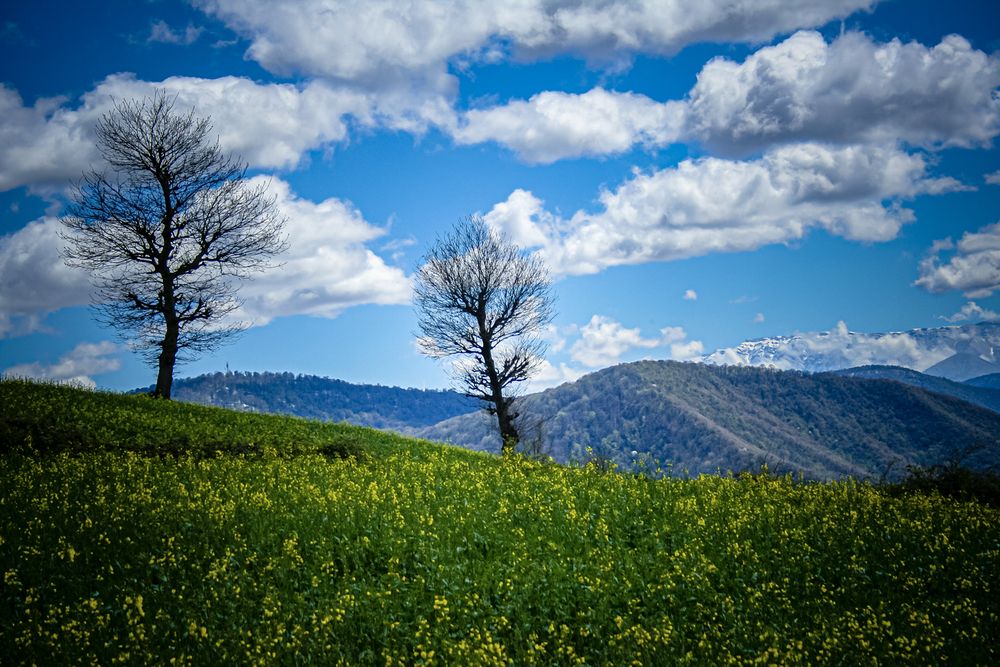 Photograph by Mahdi vagahri shorche