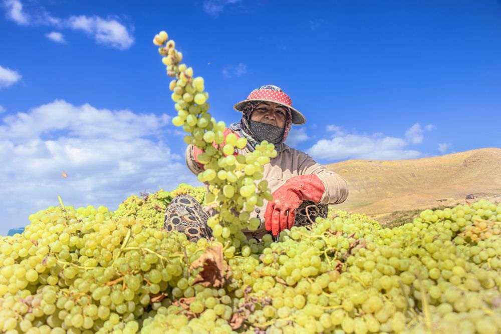 Photograph by Mahdi vagahri shorche