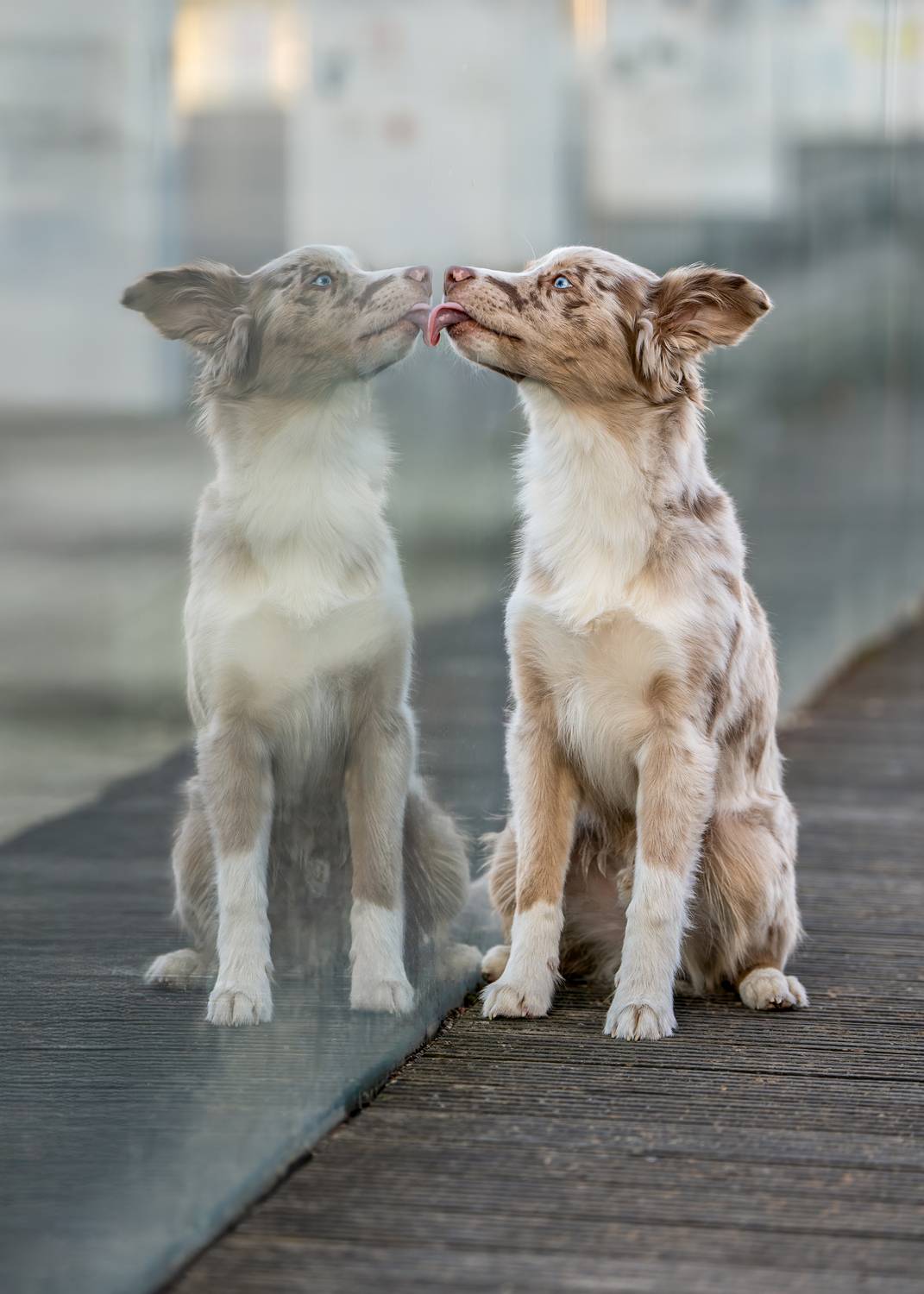 Self Encounter Self Encounter