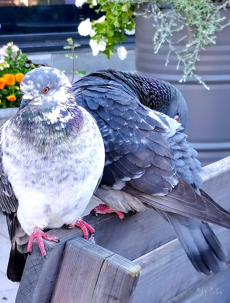 Photograph by Edgars Kublins