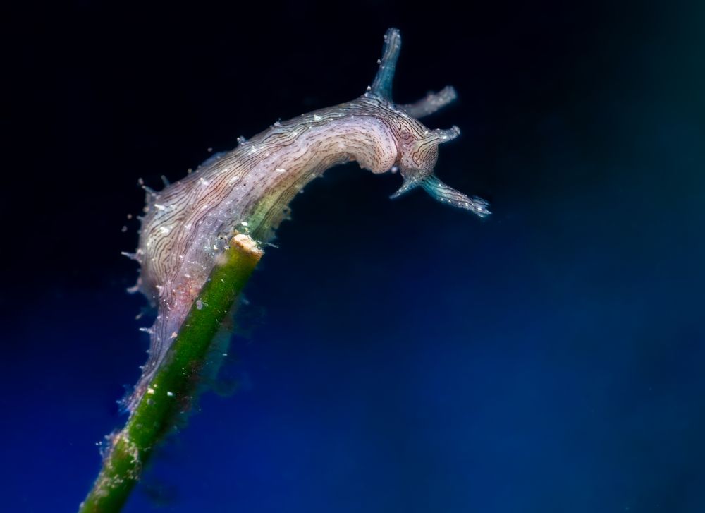 Photograph by Magali Márquez