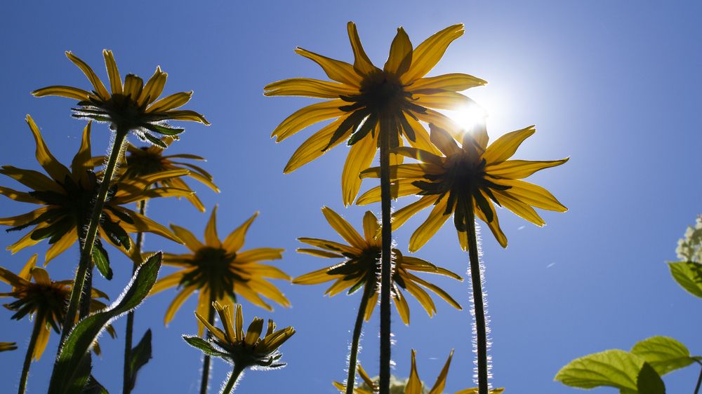 Фотография автора Сергей Кравцов