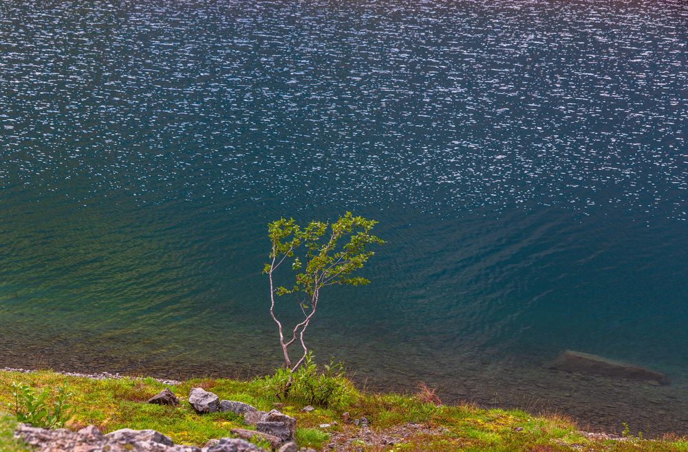 Photograph by Литвинов Александр