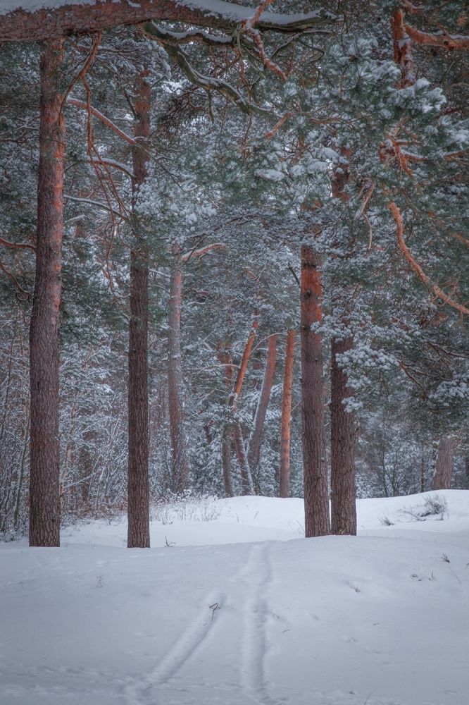 Photograph by Анна Пундалова