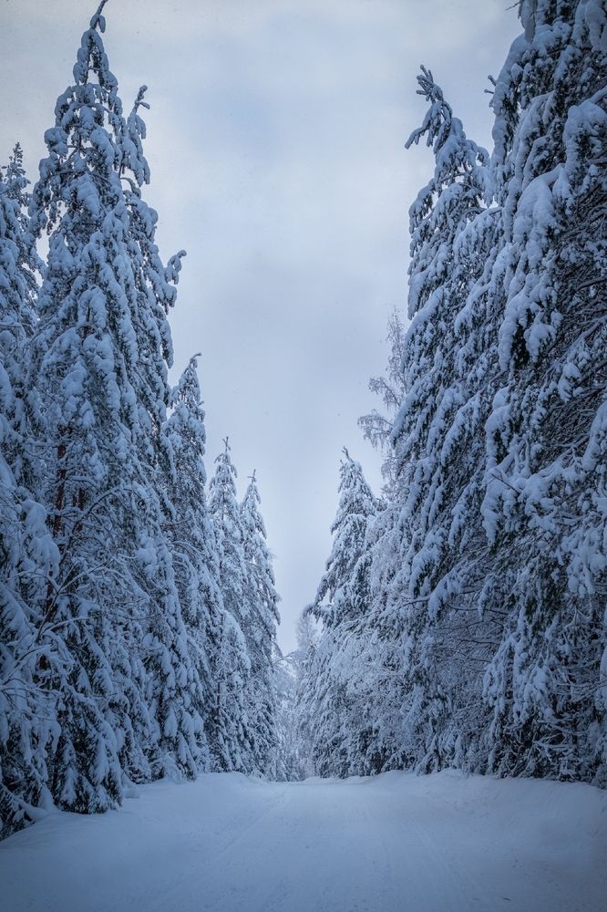 Photograph by Анна Пундалова