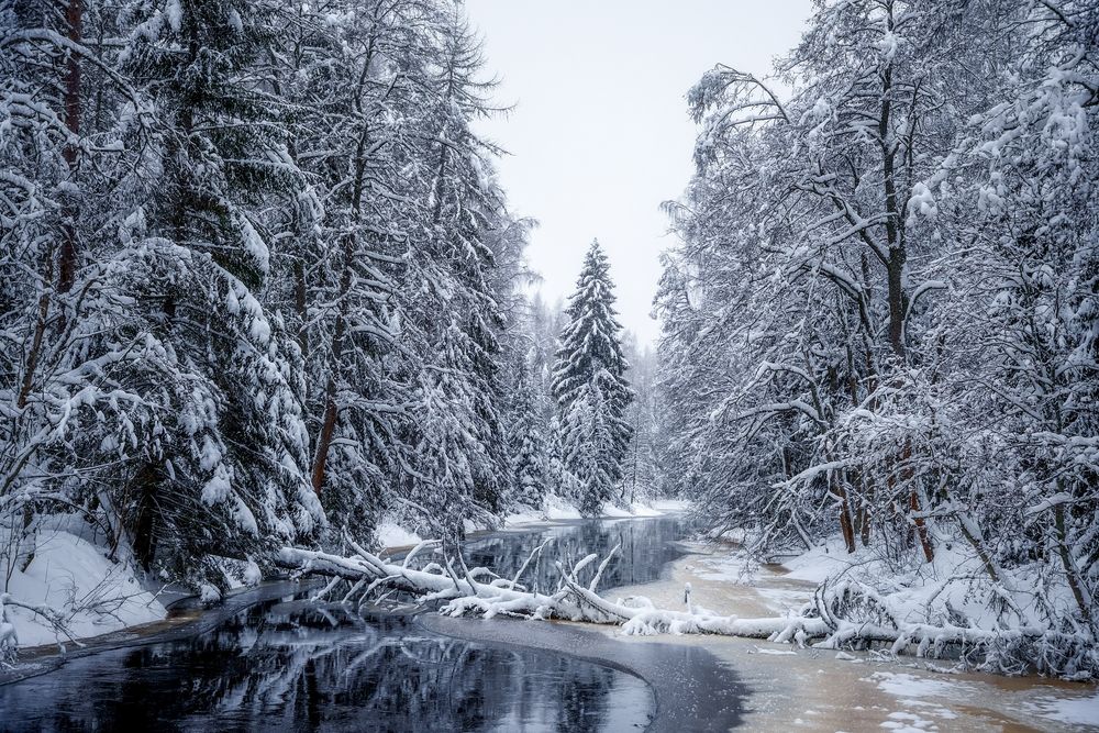 Photograph by Анна Пундалова