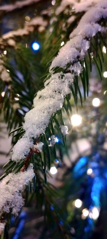 Photograph by Любовь Макарова