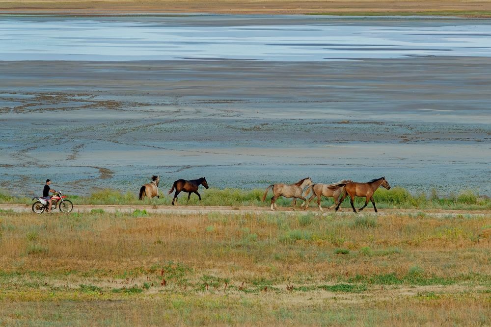 Photograph by Михаил Косолапов