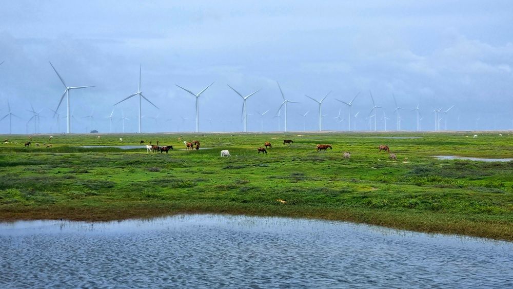 Photograph by Gr Marie