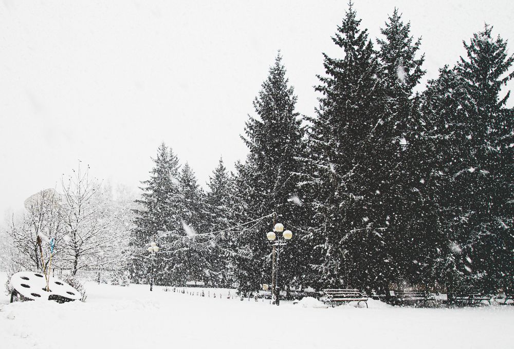 Фотография автора Владимир Друшляк