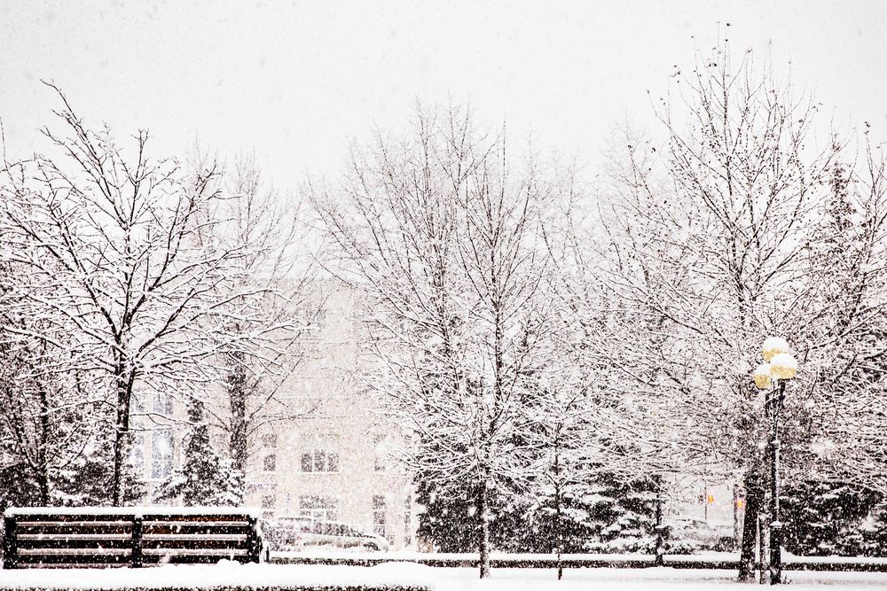 Фотография автора Владимир Друшляк