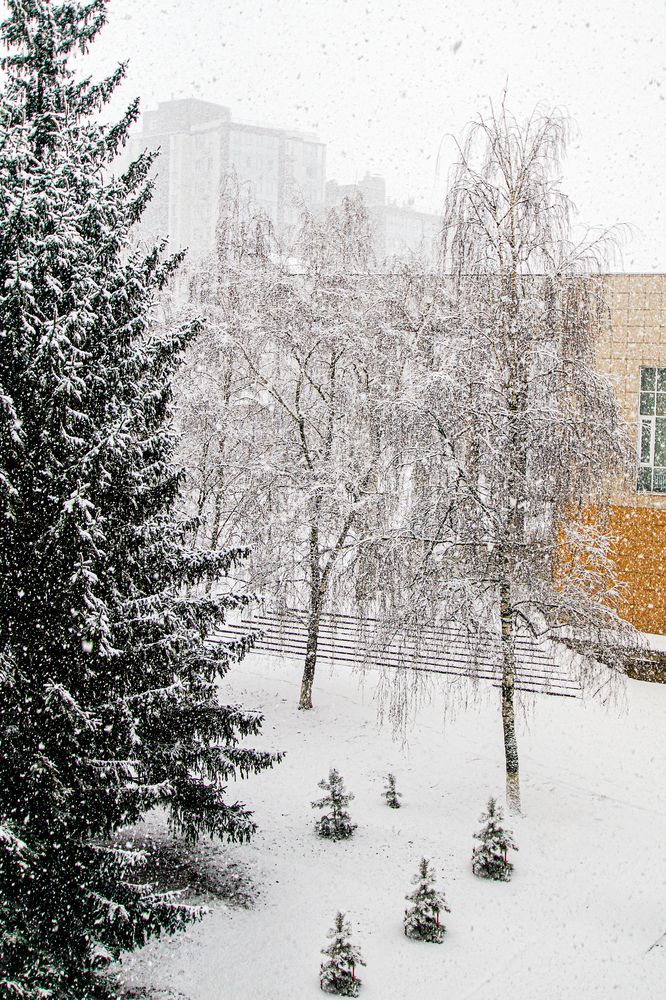 Фотография автора Владимир Друшляк