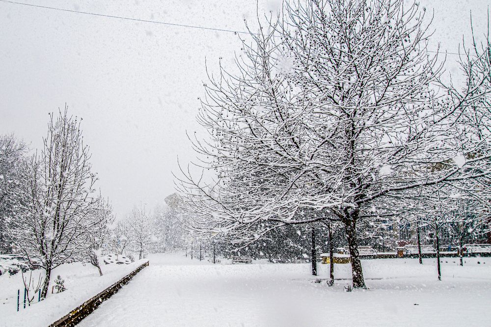 Фотография автора Владимир Друшляк