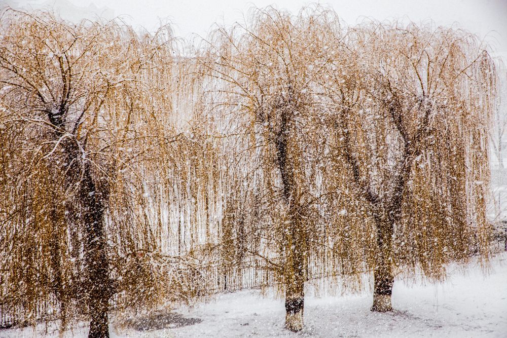 Фотография автора Владимир Друшляк