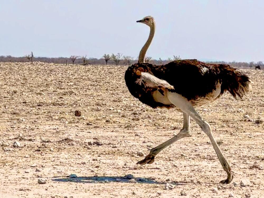 Photograph by Stefano Conte