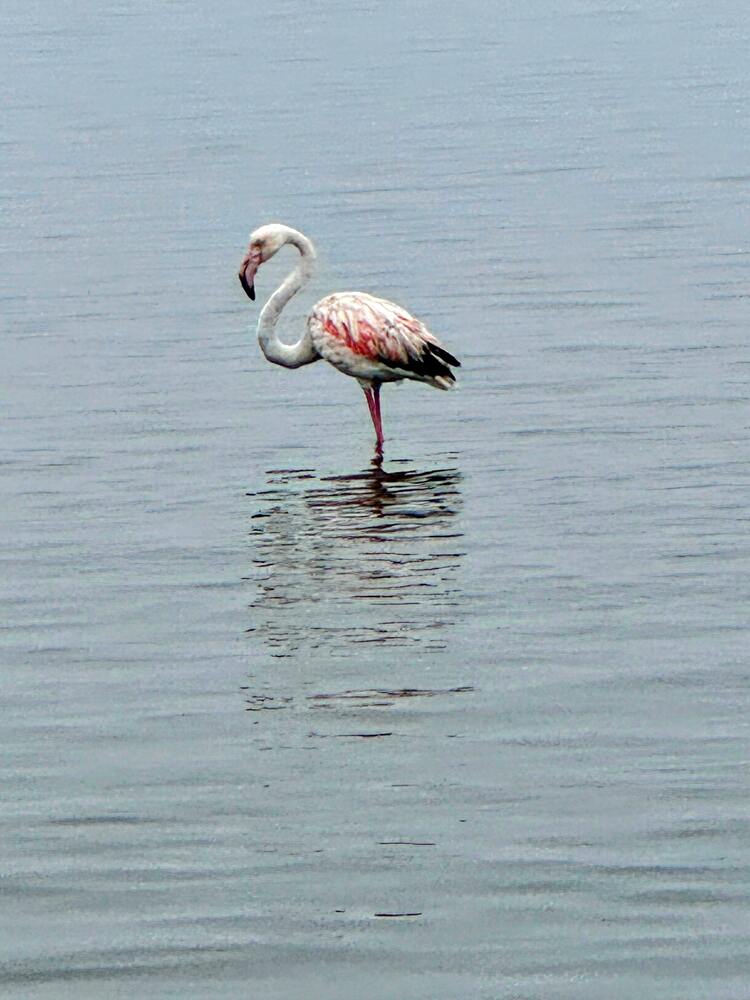 Photograph by Stefano Conte