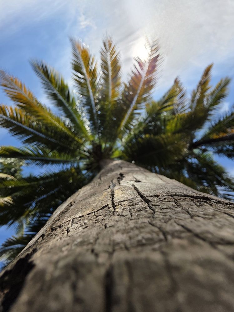 Photograph by Prasad Kumbhar