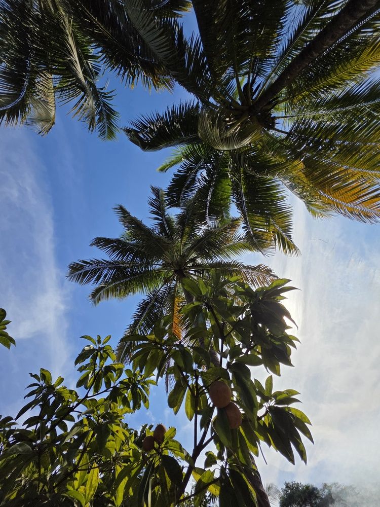 Photograph by Prasad Kumbhar