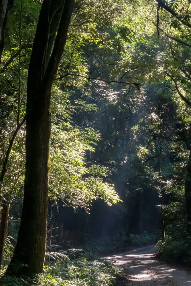 Photograph by Gilberto José Bassani