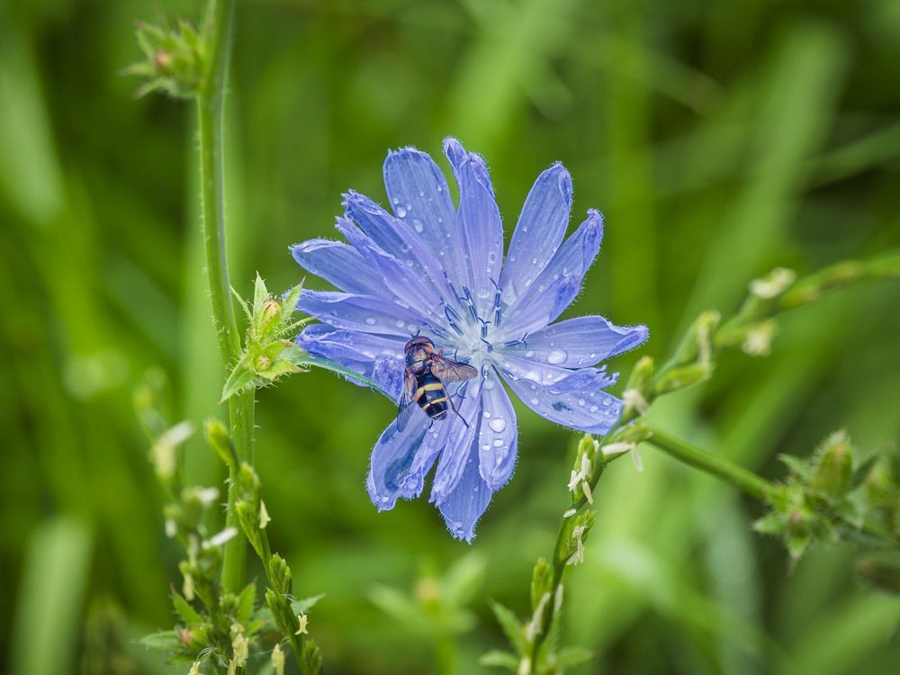 Photograph by Борис Полтавец