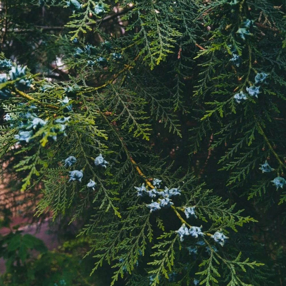 Photograph by Анастасия Юрьева