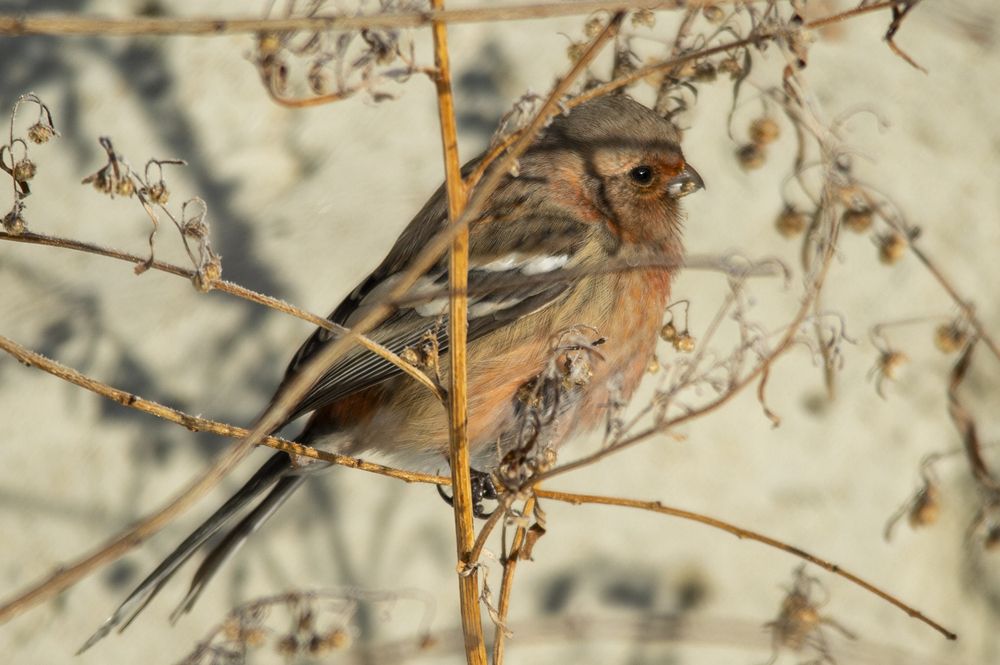 Photograph by Антон Демидов