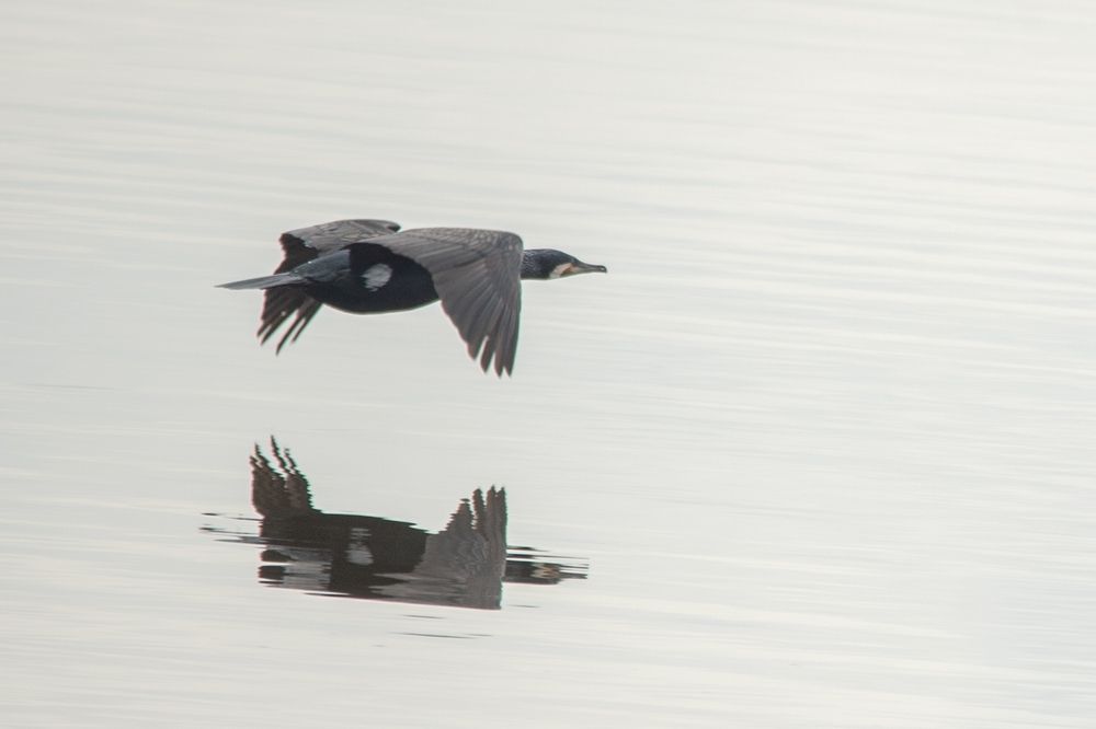 Photograph by Антон Демидов