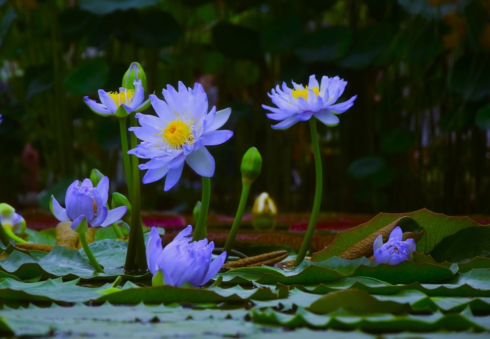 Фотография автора Альбина Хвастунова