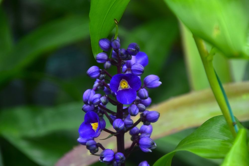 Фотография автора Альбина Хвастунова