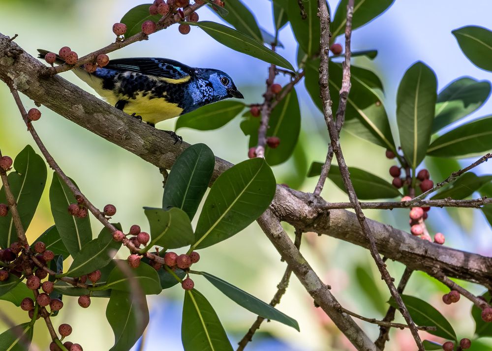 Photograph by Rose-Anne Reyes