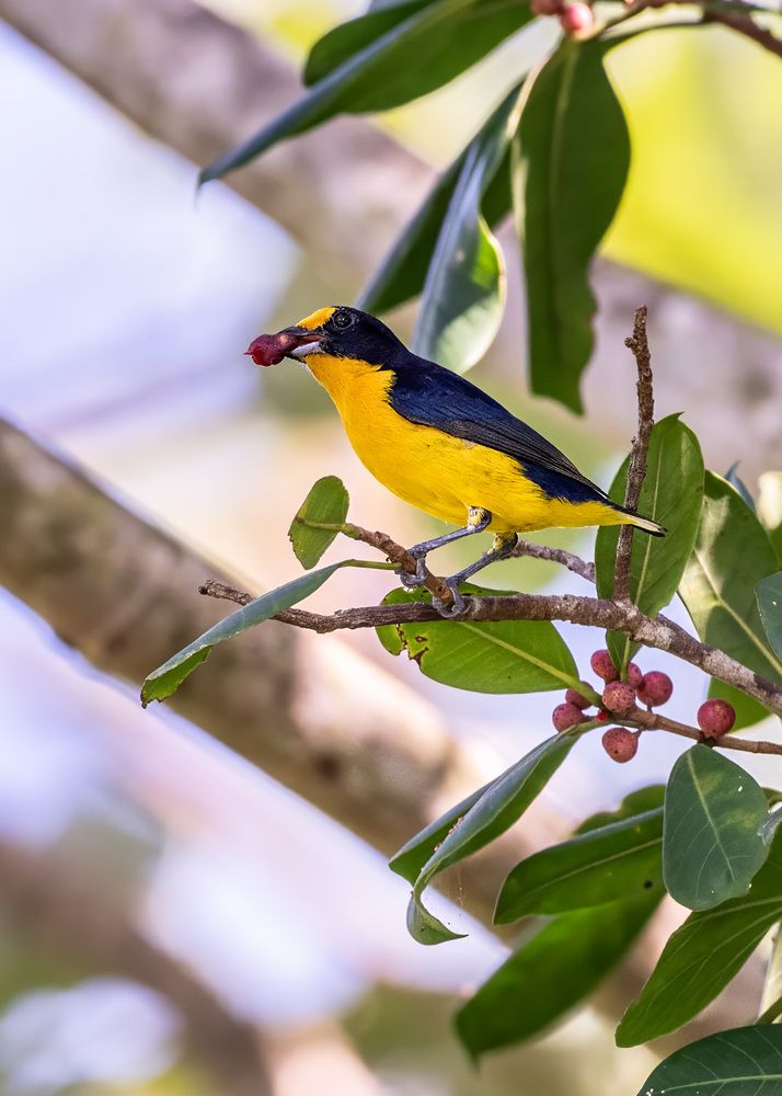 Photograph by Rose-Anne Reyes