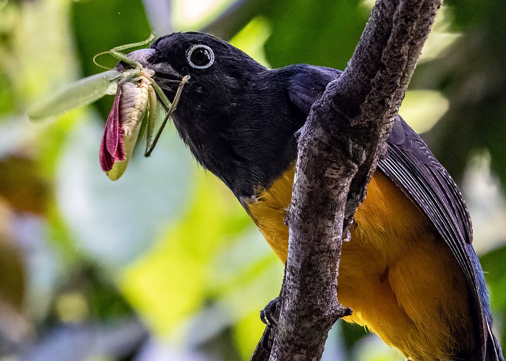 Photograph by Rose-Anne Reyes