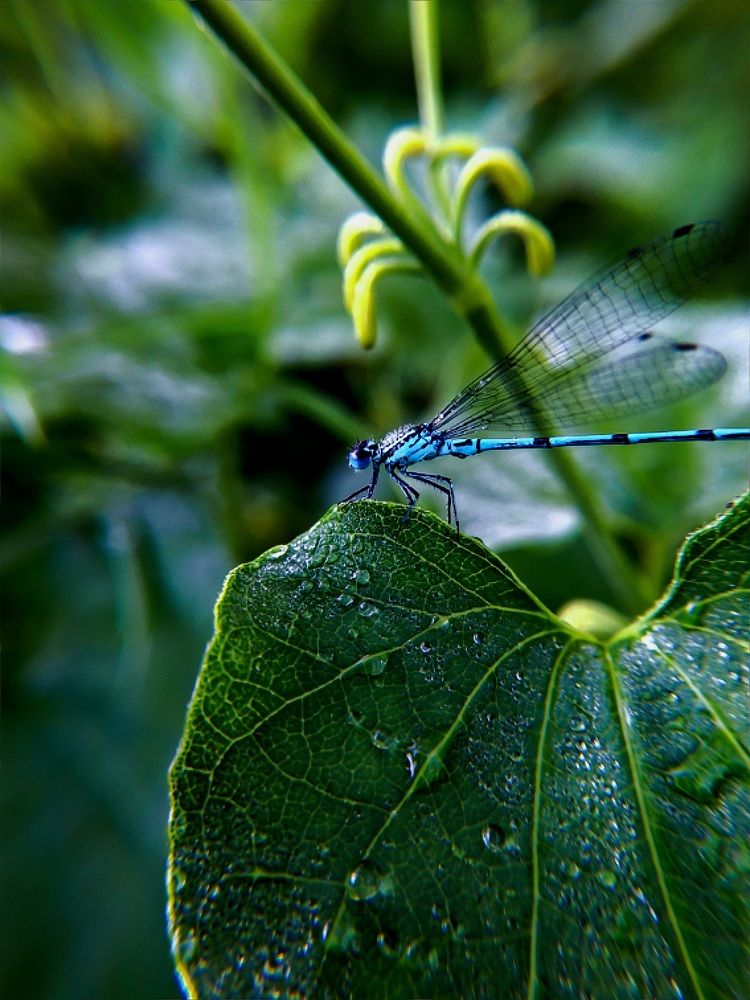 Photograph by Марина Мальцева